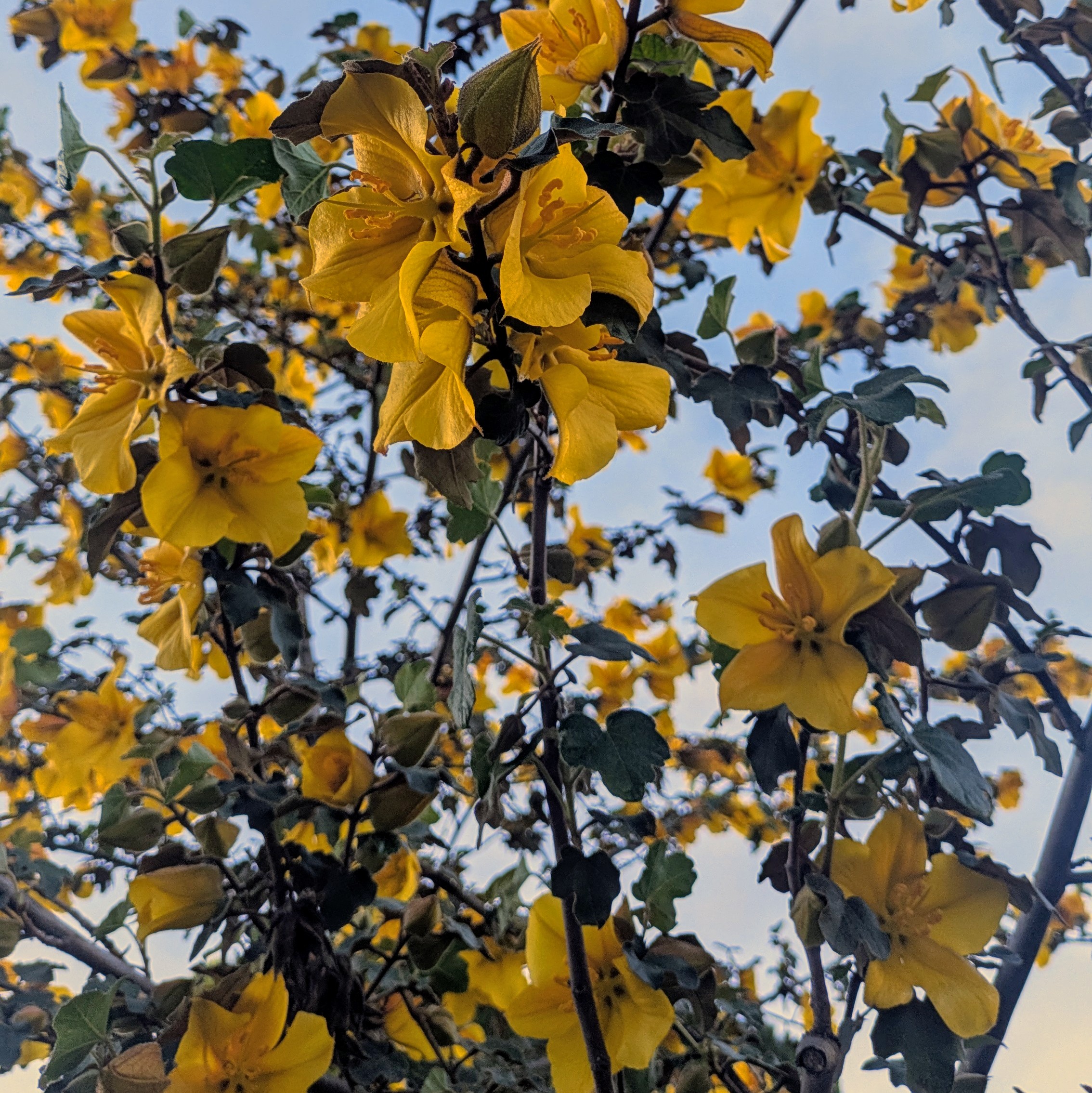 #4 (Un an plus tard)